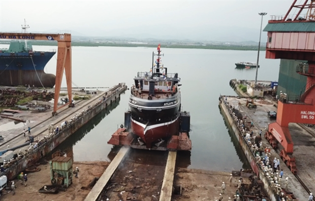 Shipbuilding corporation to declare bankruptcy: industry ministry hinh anh 1