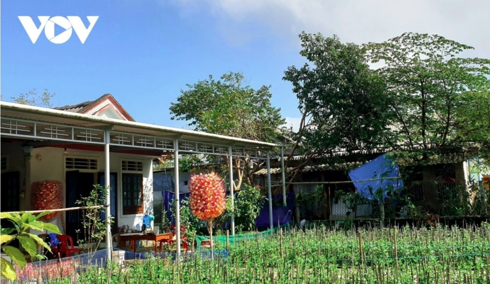 300-year-old thanh tien paper flower making village busy ahead of tet picture 4
