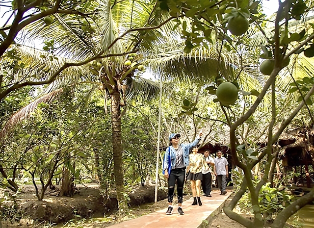 Ben Tre to develop unique tourism products, make tourism key industry