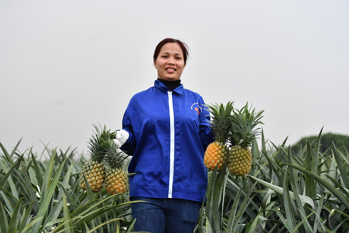 IFC cam kết đầu tư phát bền vững tại Việt Nam