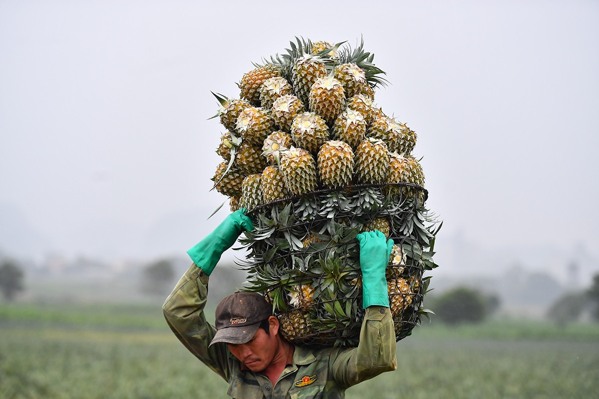 Ngân hàng 'xanh hoá' đầu ra cho dòng tiền