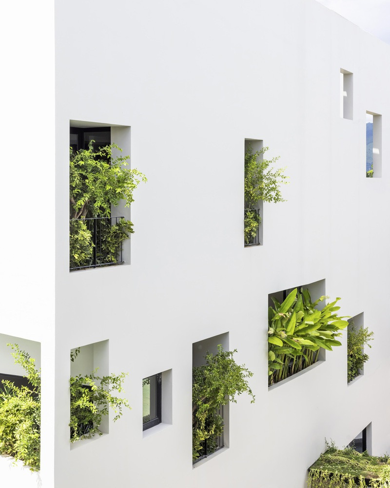 Không gian xanh được bố trí khắp các khu vực của căn nhà; điều này không chỉ làm giảm bụi từ bên ngoài, cải thiện chất lượng không khí mà còn hình thành những góc nhìn sống động.