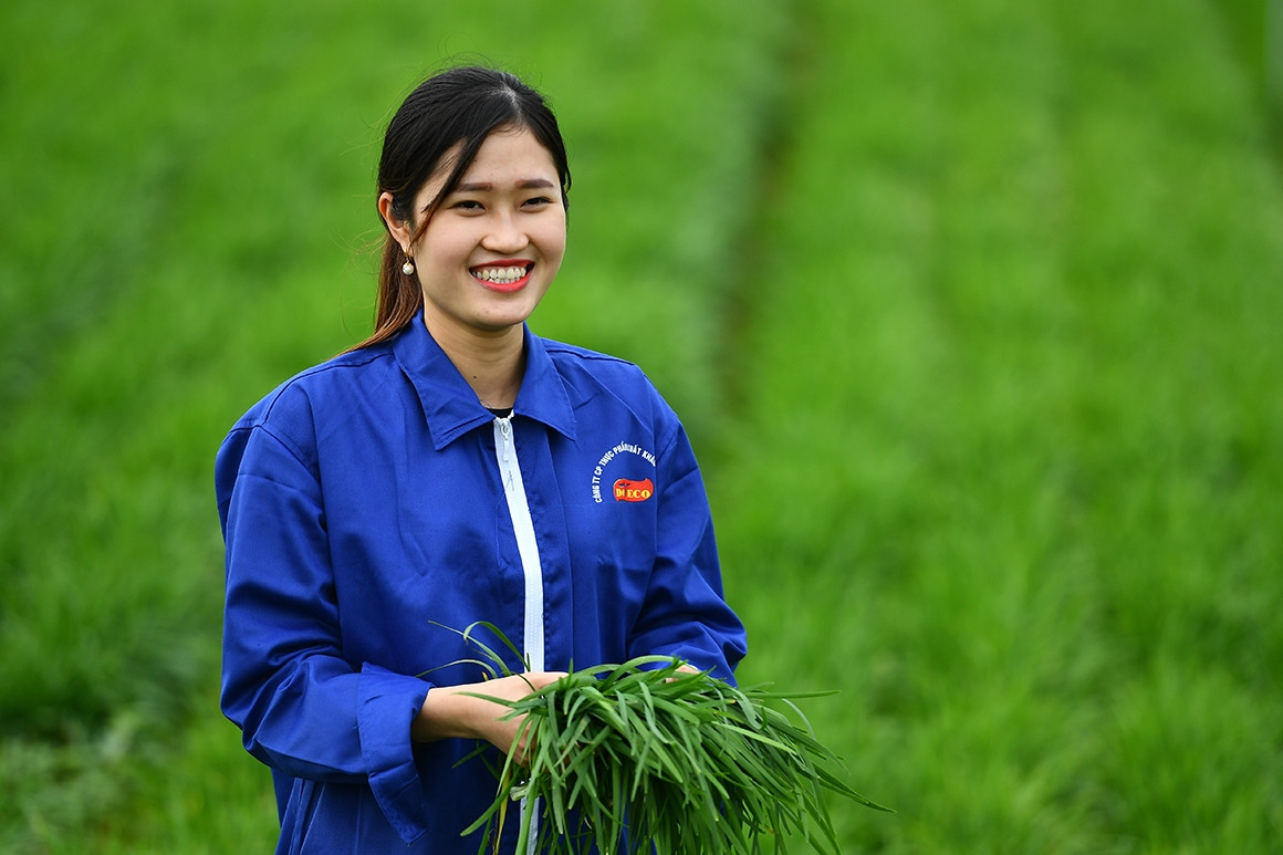 Việt Nam hợp tác Nhật Bản hướng tới tăng trưởng xanh