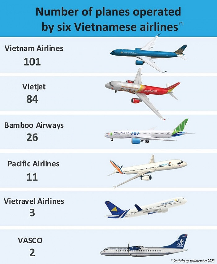 Vulnerable local airlines anticipate rebound in 2024