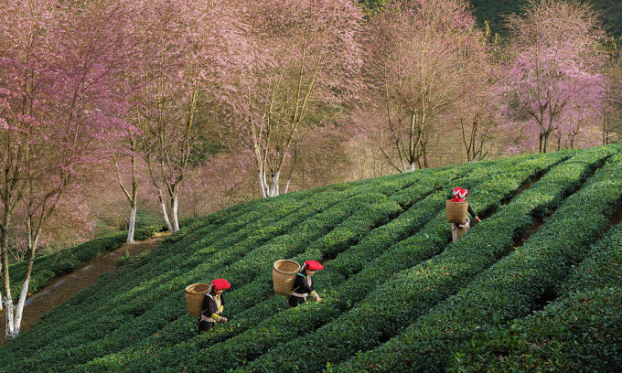 mai31703214297 1704962559 1704 3440 4861 1704962738.jpg