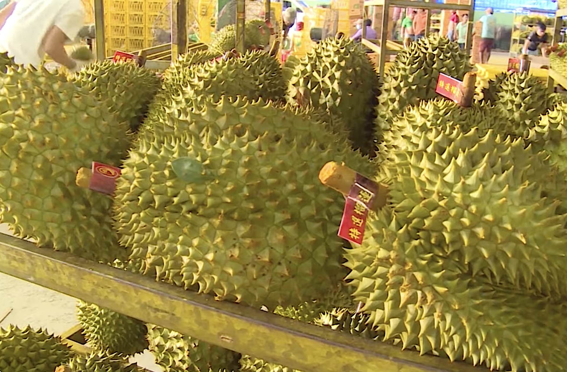 Đáp ứng yêu cầu truy xuất nguồn gốc nông sản của nhiều thị trường khó tính