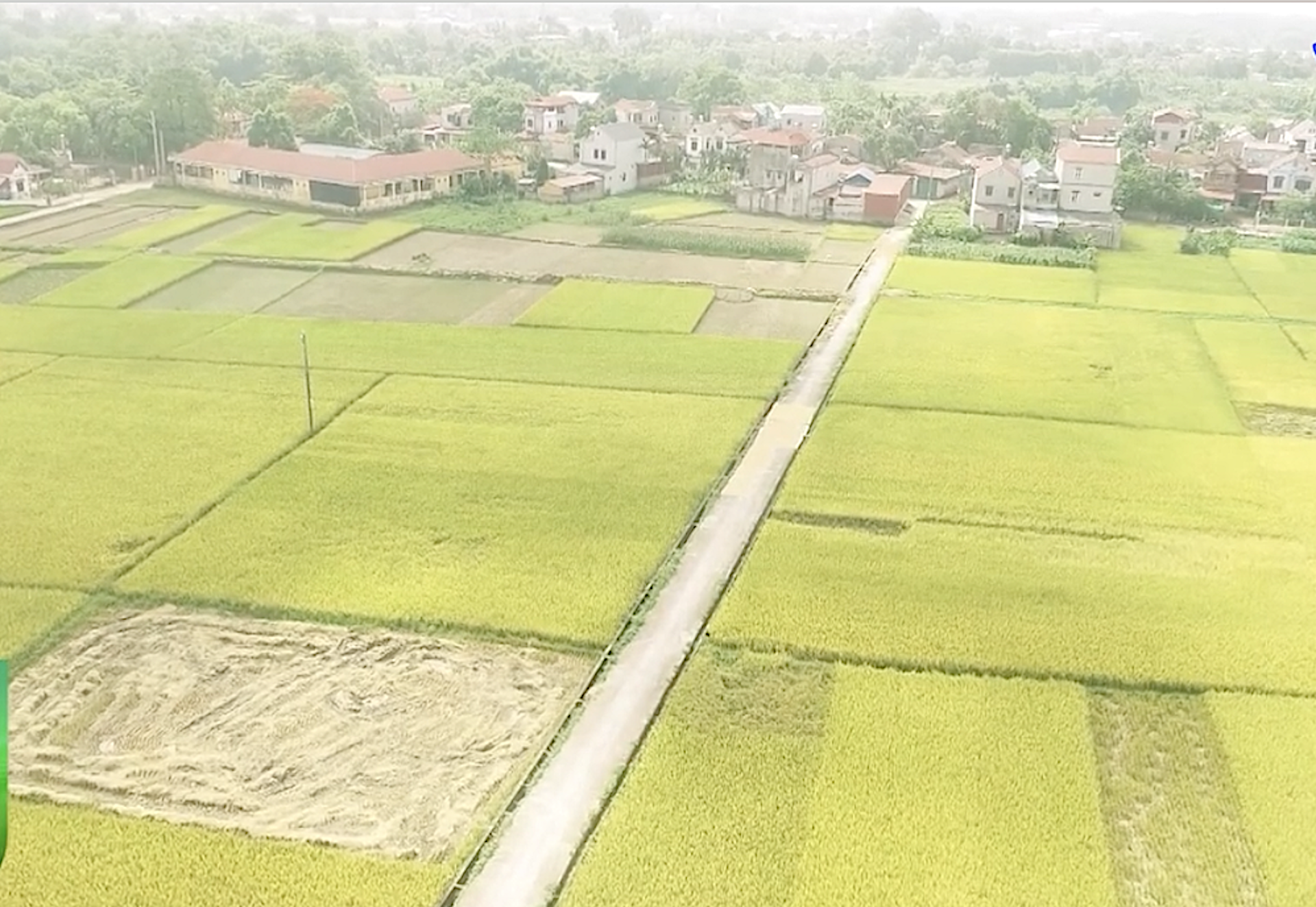 Gắn mã số vùng trồng để chuẩn hóa quy trình chăm sóc và quản lý nông sản