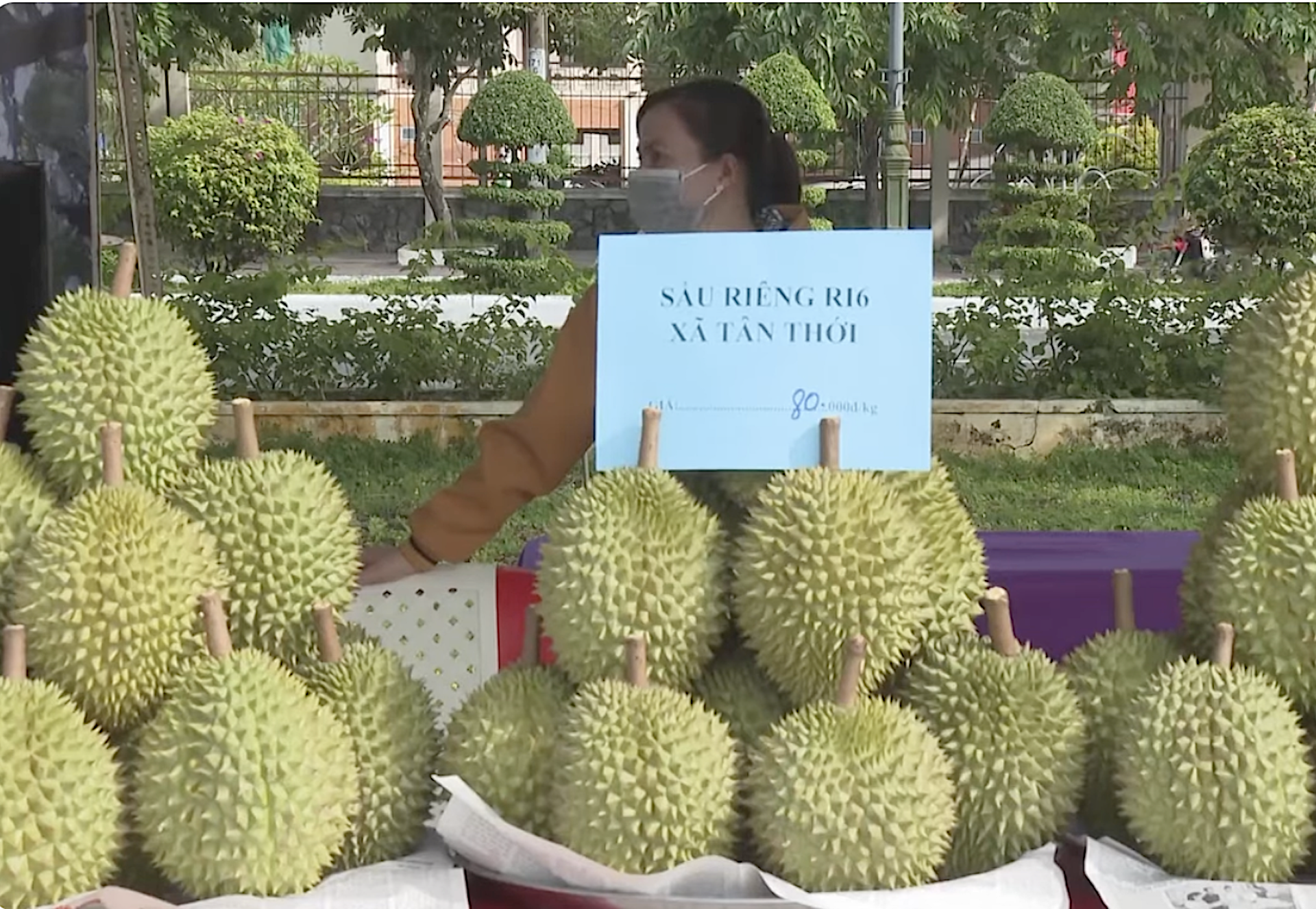 Huyện Phong Điền (Cần Thơ) đã thẩm định 32 mã số vùng trồng tại các xã, thị trấn