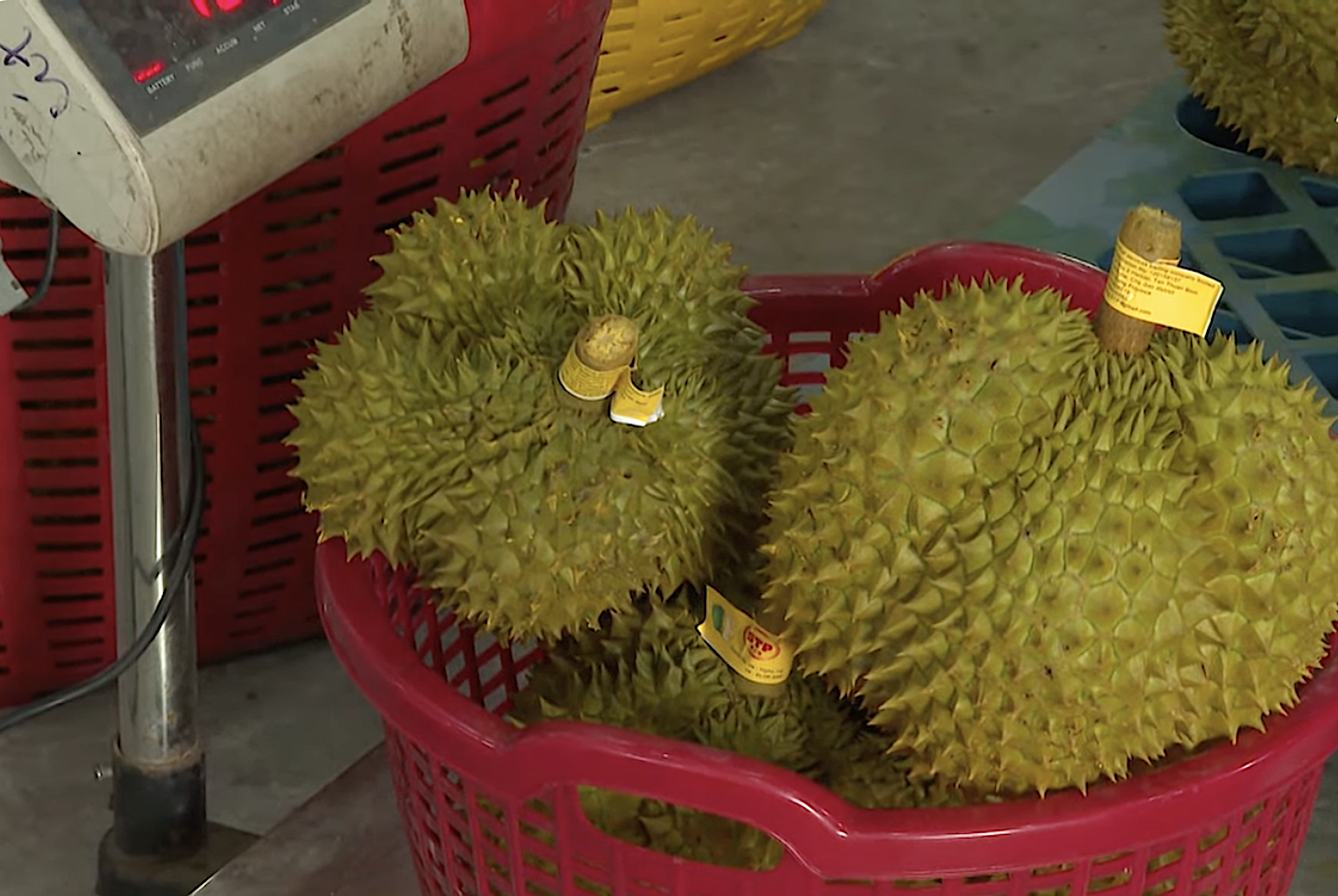 Chuyển đổi số ngành nông nghiệp để dễ dàng tiếp cận đầy đủ thông tin sản xuất