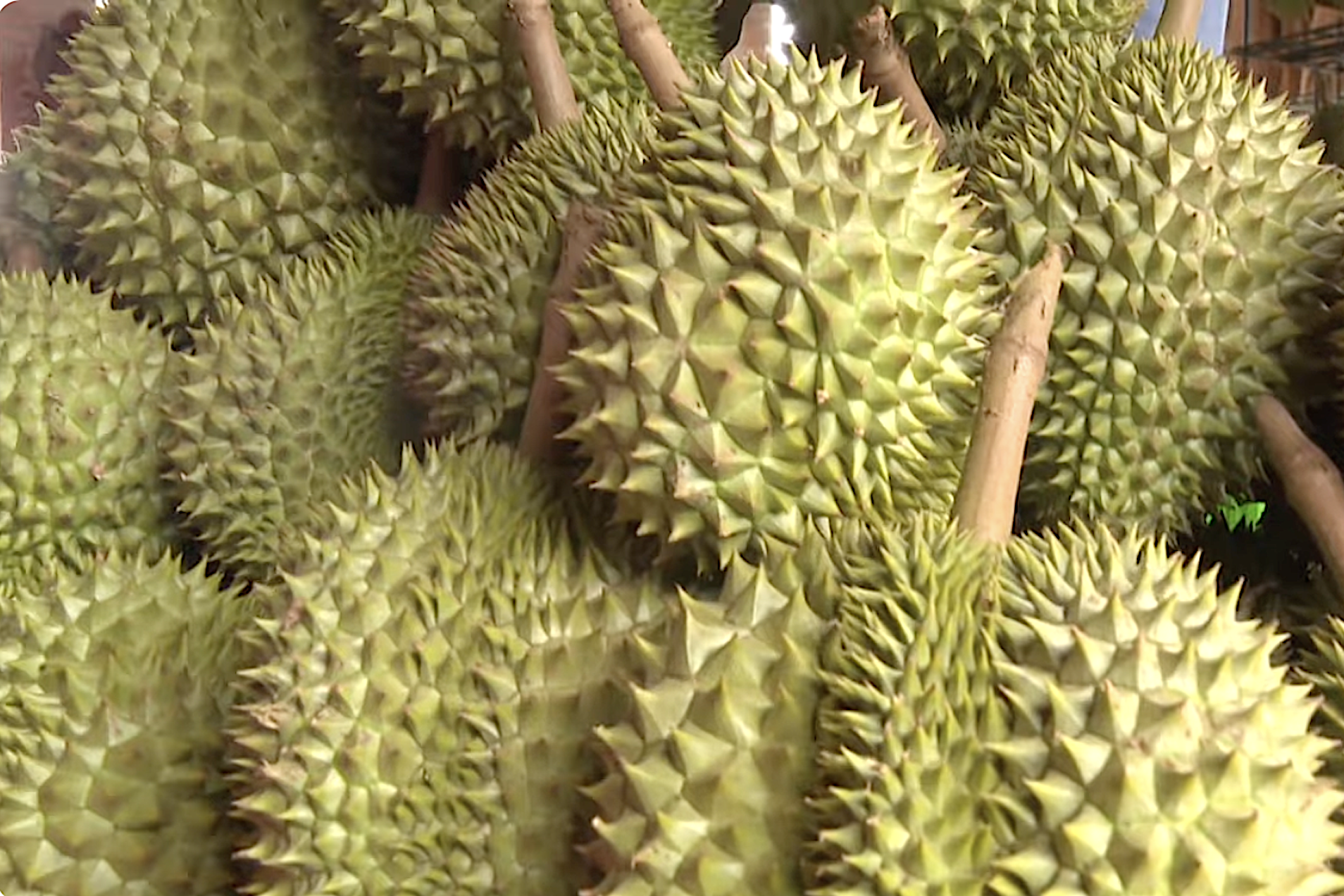 Ứng dụng công nghệ kết nối sản xuất với thị trường nhằm tránh 