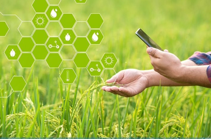 nong san dong thap.jpg