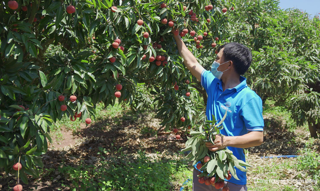 nong san hai duong.jpg