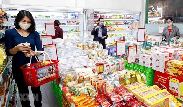 Vietnam advised to capitalise on domestic market to drive growth hinh anh 1