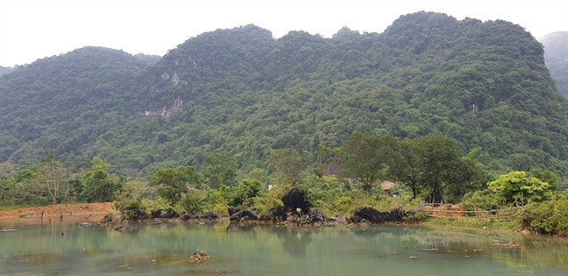 Vietnam has great potential in development of carbon credit market