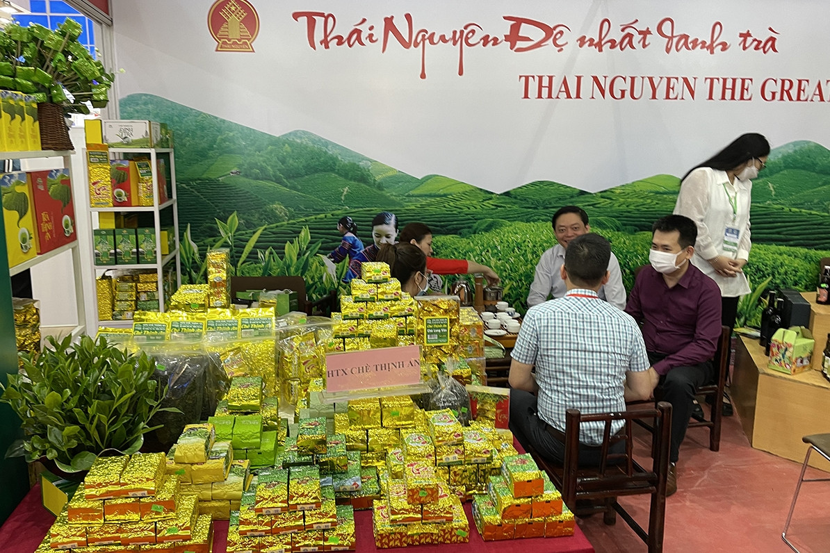 Xây dựng chè Thái Nguyên thành thương hiệu quốc gia