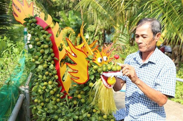 Dragon-shaped kumquat trees sought after hinh anh 1
