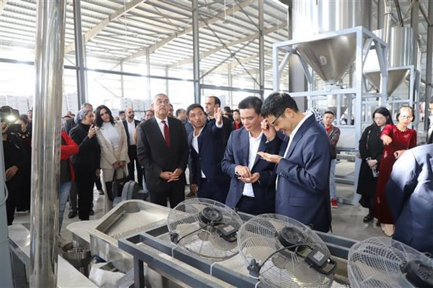 First Vietnamese factory inaugurated in Egypt hinh anh 1