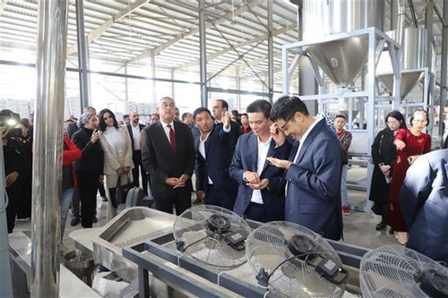 First Vietnamese factory inaugurated in Egypt