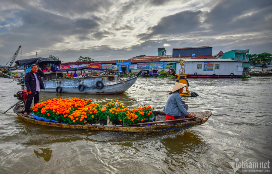 giadinh.hoàng giám.png