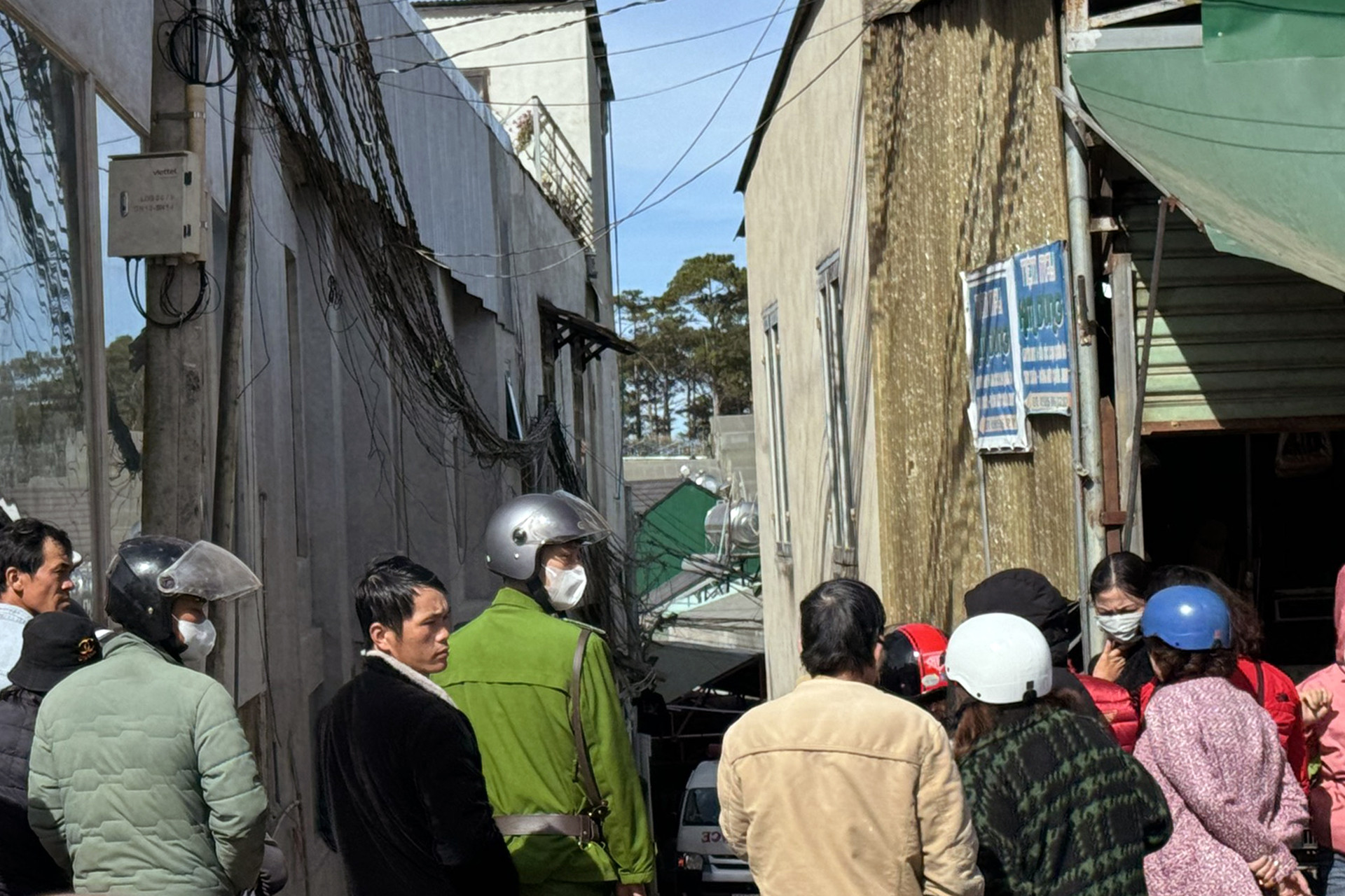 hientruonganmang 1.jpg