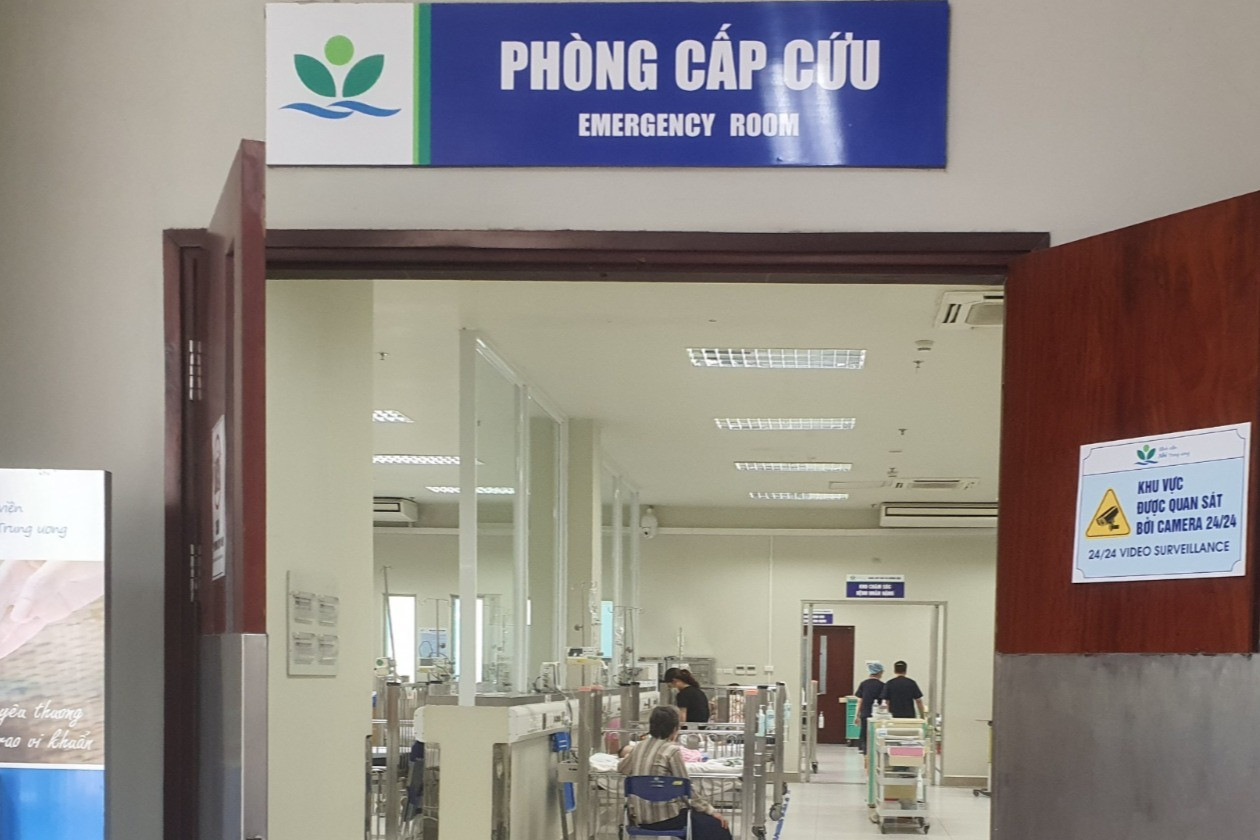 Cách sơ cứu và phòng ngừa tai nạn rắn cắn cho trẻ