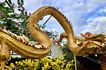 Du khách thích thú check-in cùng 'rồng khổng lồ' vừa xuất hiện ở Đà Nẵng