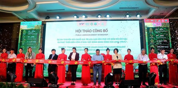 Netherlands, Australia help transform rice value chains in Mekong Delta