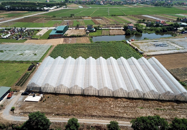VN’s agriculture sector targets growth between 3.2-4% in 2024
