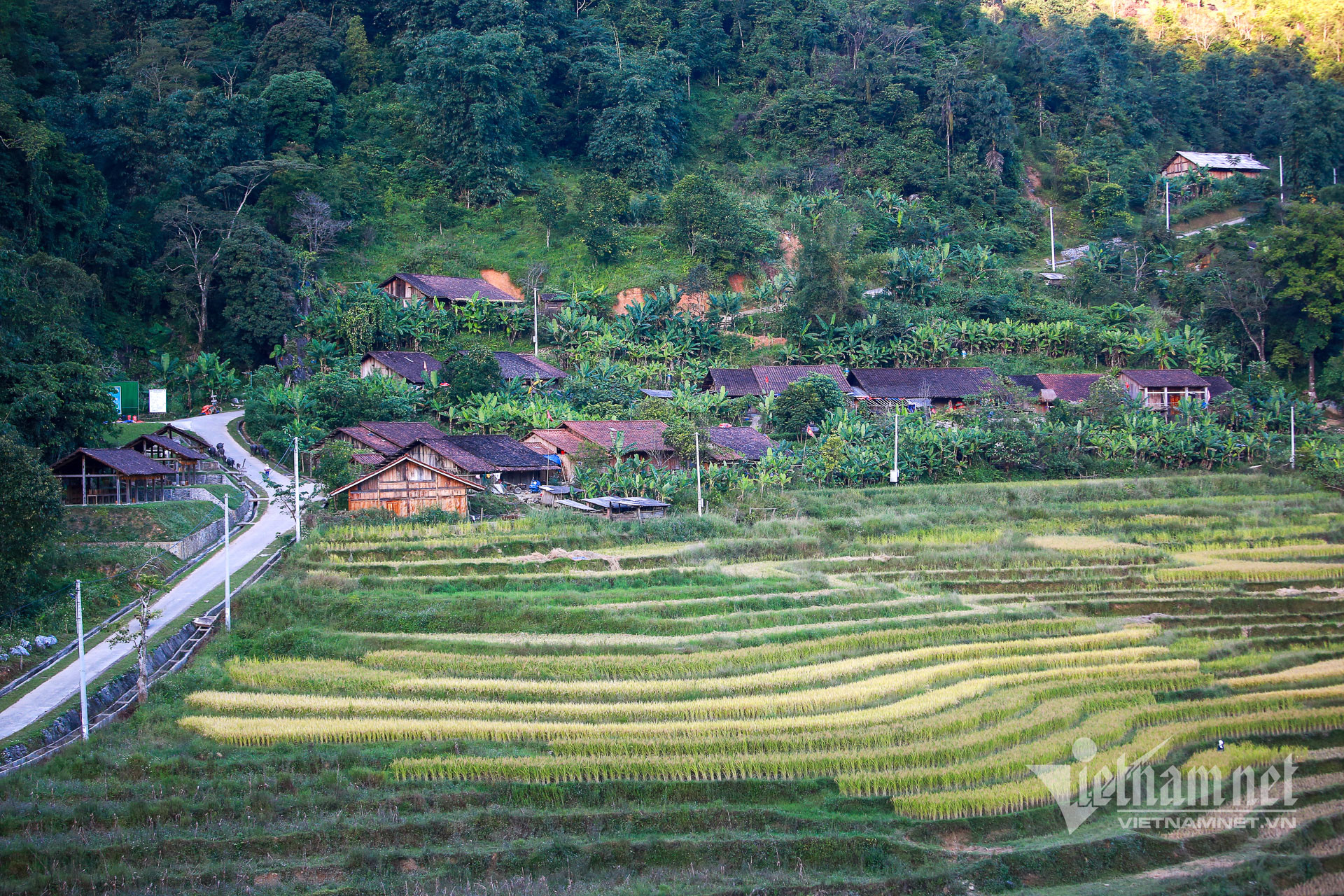 1 hoai khao 3744.jpg