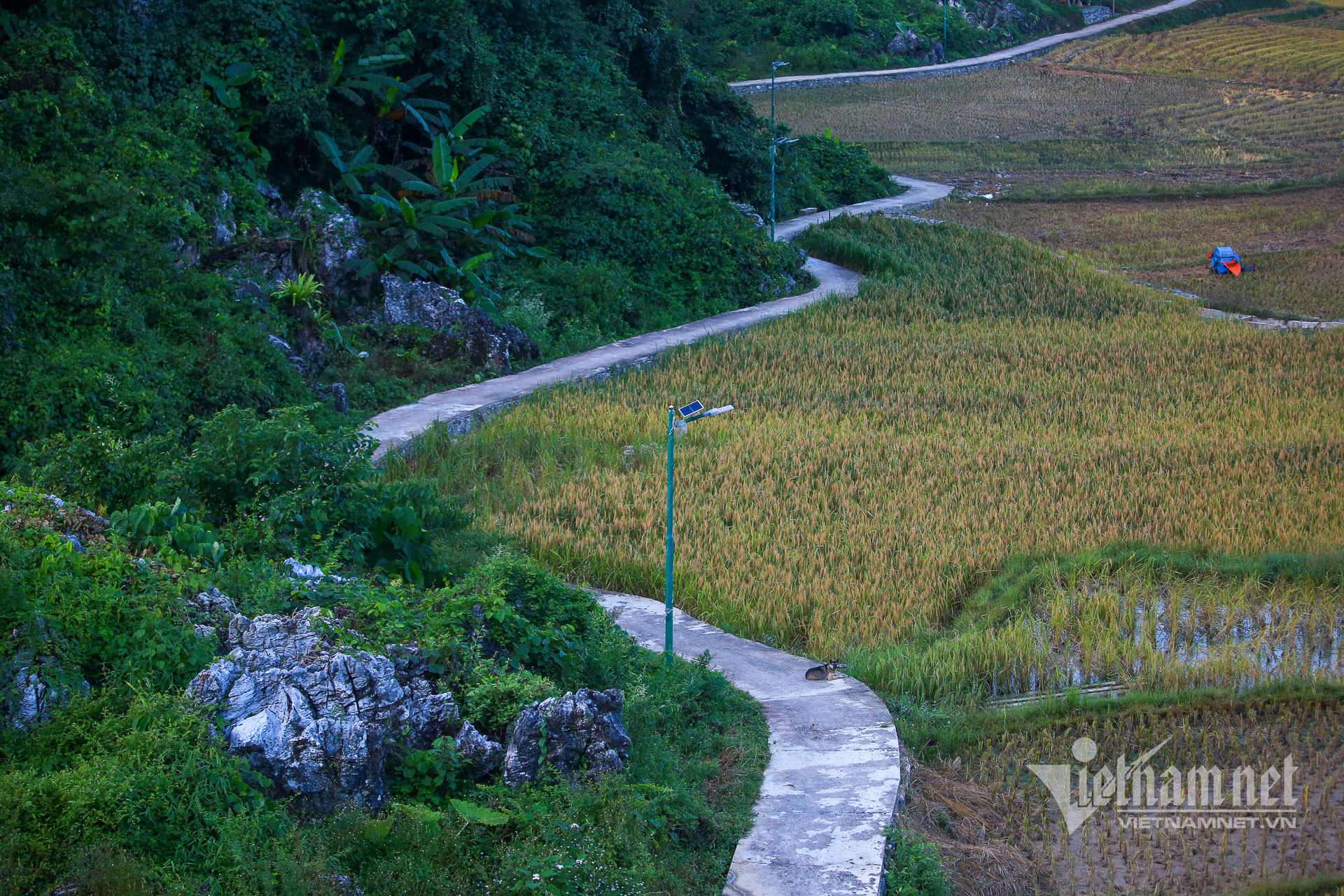 12 hoai khao 3932.jpg