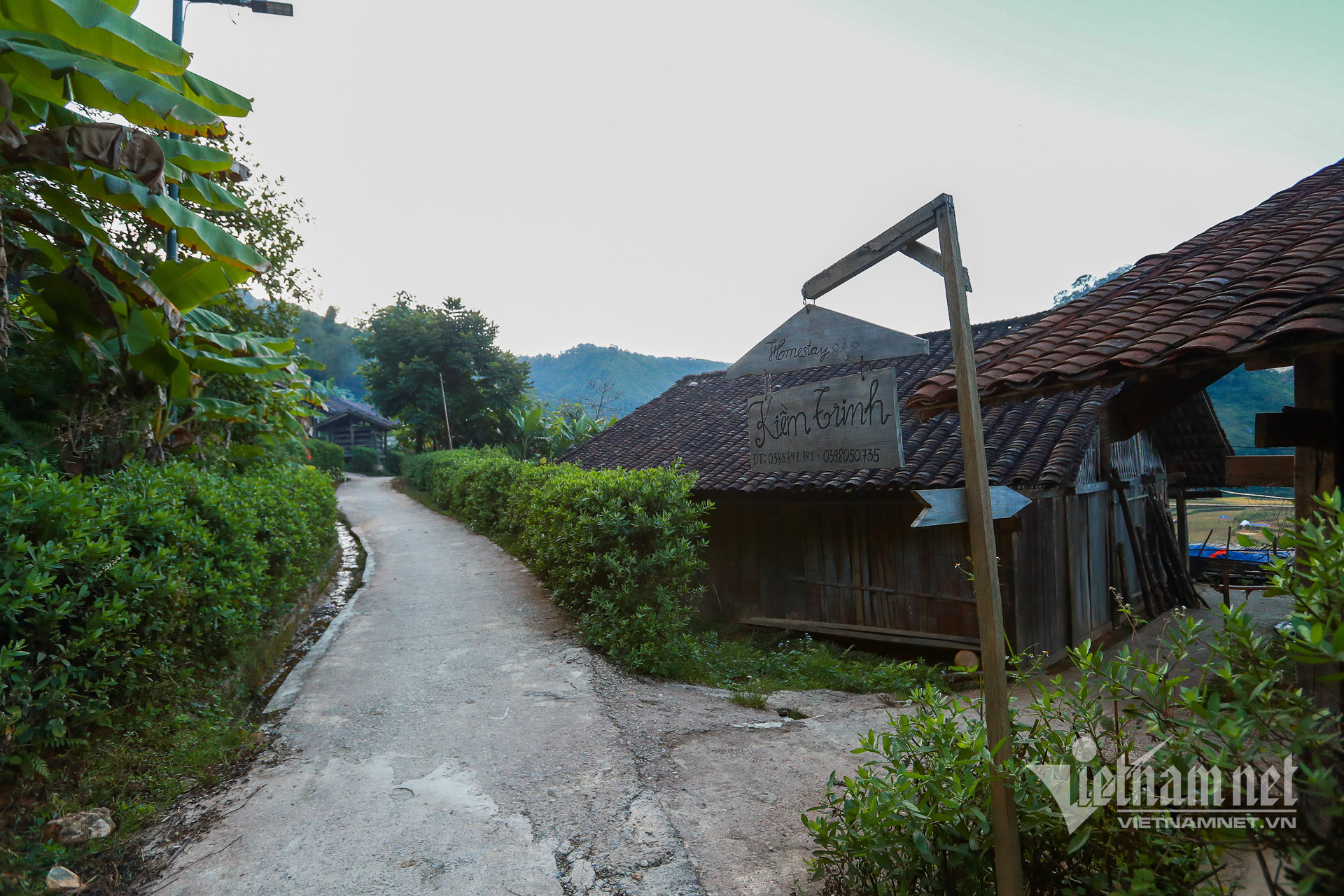 2 hoai khao 0128.jpg