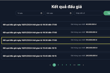 Đấu giá biển số chiều 18/1: Biển tứ quý 2 của Hà Nội giá 510 triệu đồng