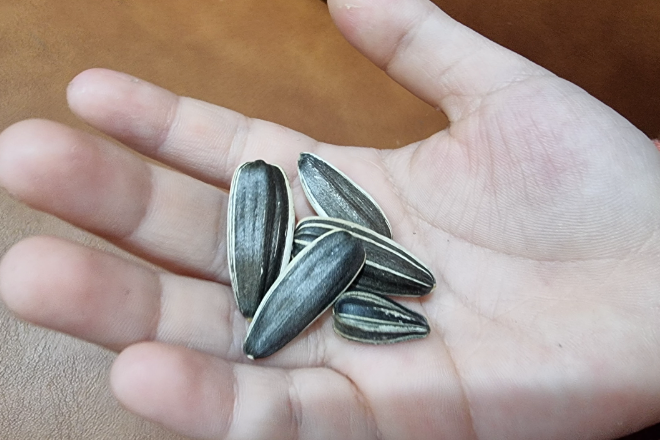 Dị vật mắc kẹt đường thở trẻ suốt 13 tháng Ba