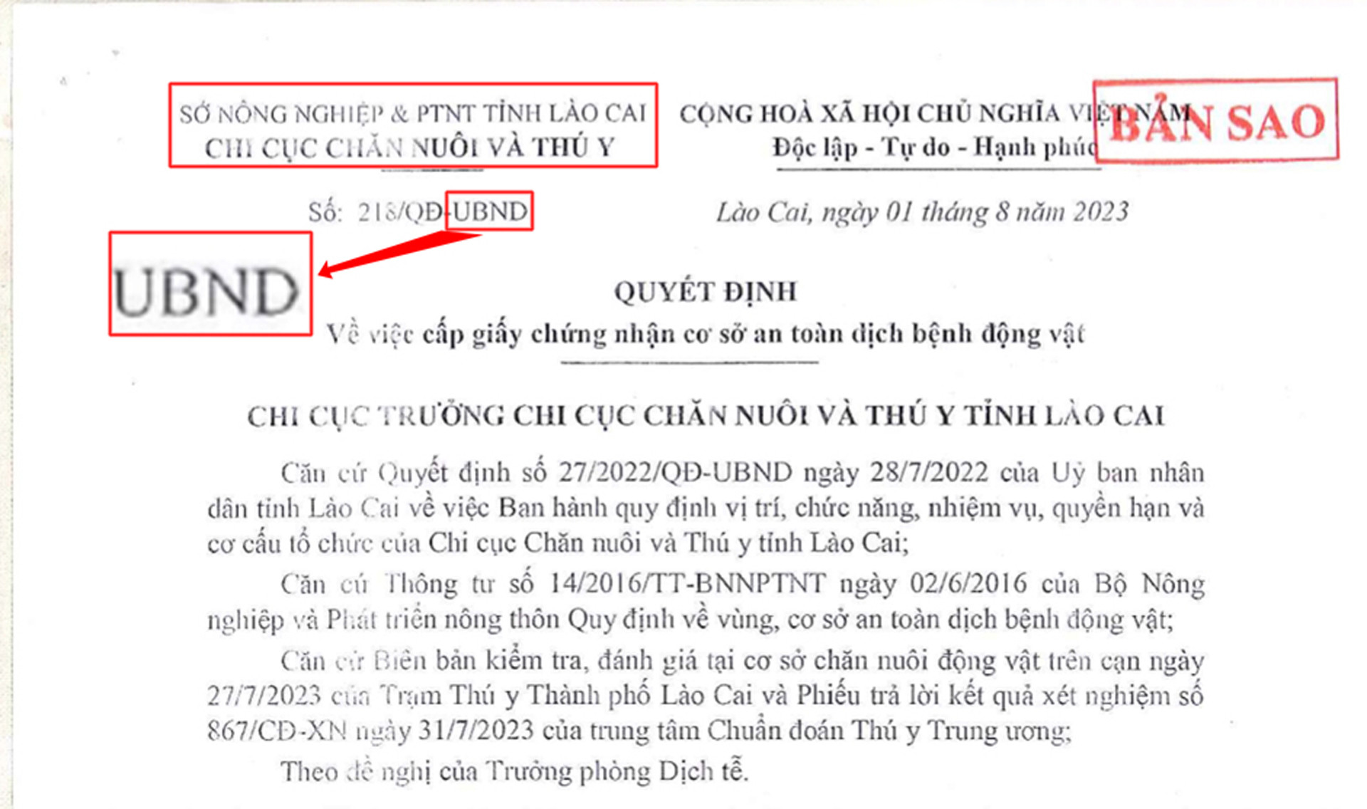 lao cai bo giong chi cuc thu y5.jpg