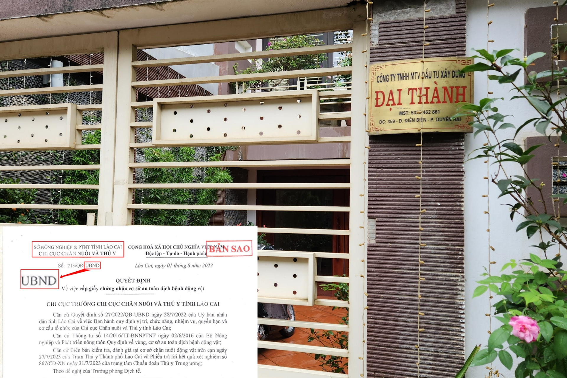 Lật mở 'điểm lạ' trong hồ sơ năng lực đơn vị cấp bò cho hộ nghèo ở Điện Biên