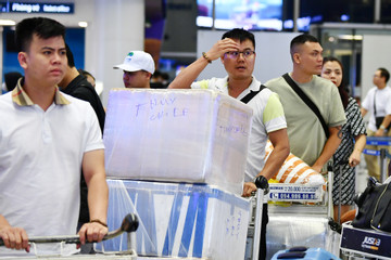 Tăng khoảng 10.000 vé mỗi ngày từ sân bay Tân Sơn Nhất dịp Tết