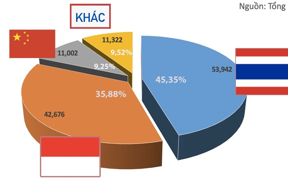 Việt Nam nhập khẩu ô tô từ những quốc gia nào nhiều nhất trong năm 2023?