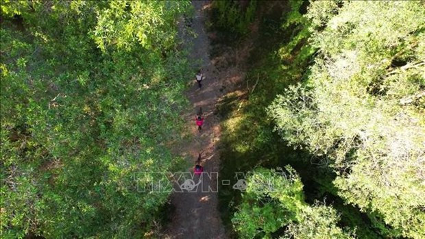 Vietnam eyes improvement in global tourism development rankings hinh anh 3