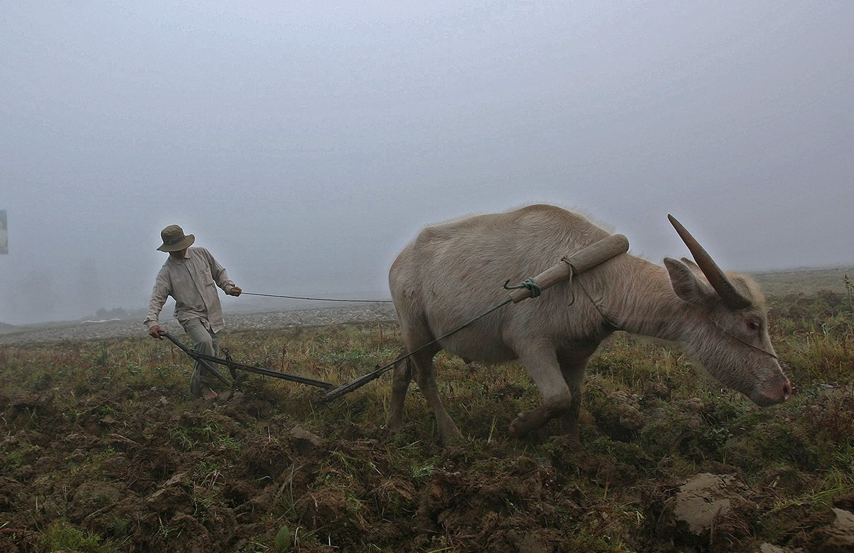 137330653 10217363898680699 3332548831315227116 n.jpg