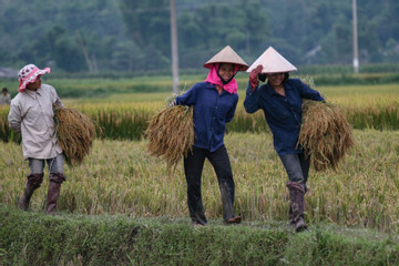 Bà Rịa - Vũng Tàu hướng tới nông thôn mới thông minh