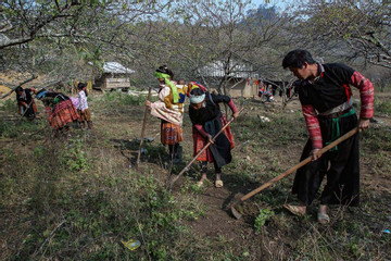 Lai Châu đẩy mạnh tín dụng vùng đồng bào dân tộc thiểu số và miền núi