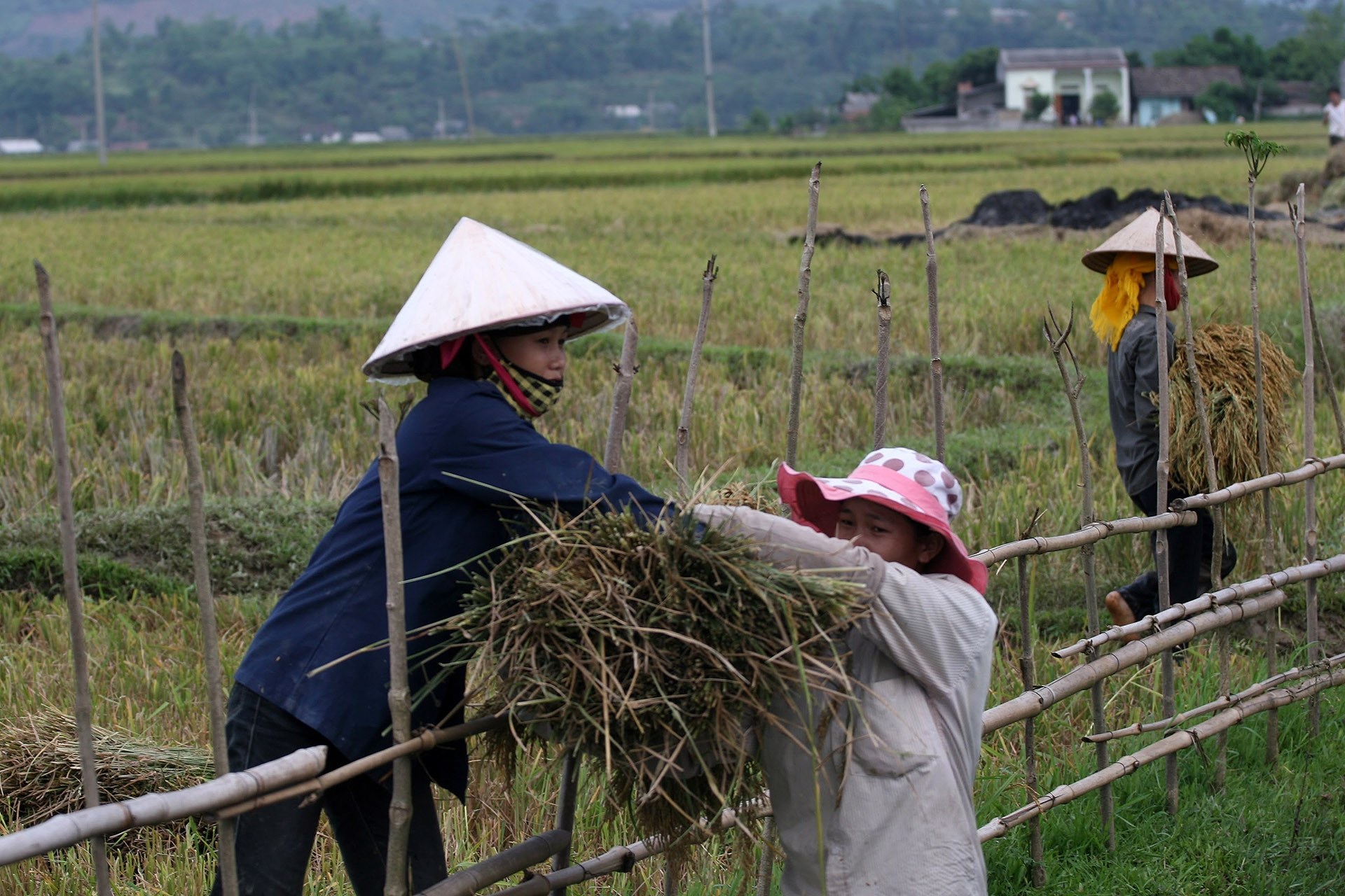 Phụ nữ chung tay xây dựng nông thôn mới