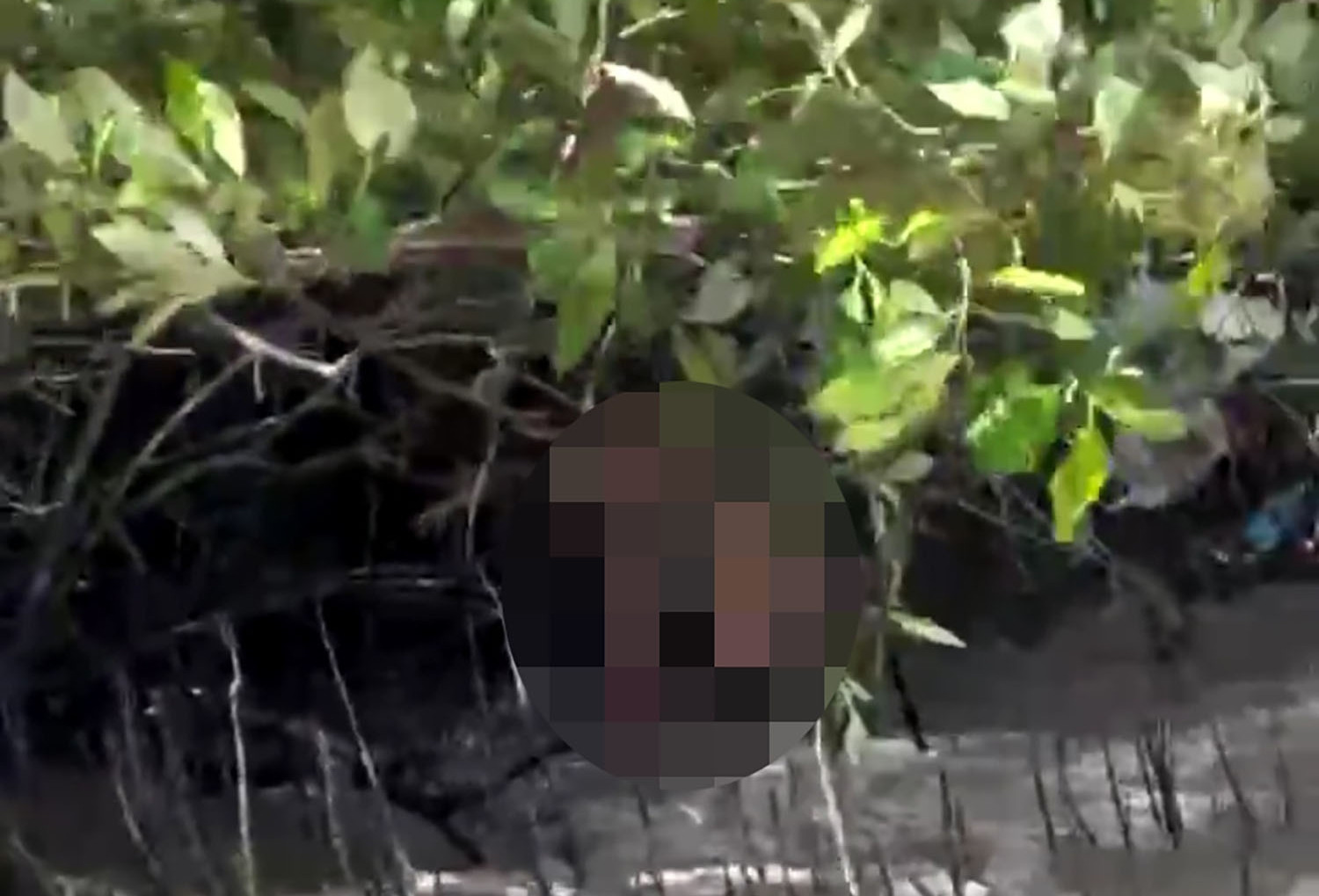 Tìm thấy thi thể 1 trong 3 thợ lặn mất tích sau tiếng nổ lớn ở Cà Mau