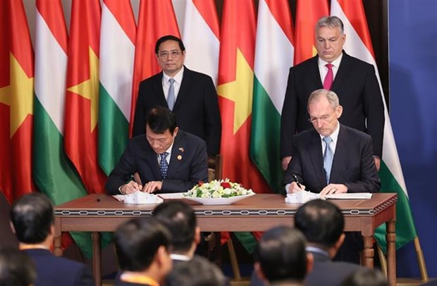 Vietnamese, Hungarian PMs hold talks hinh anh 2