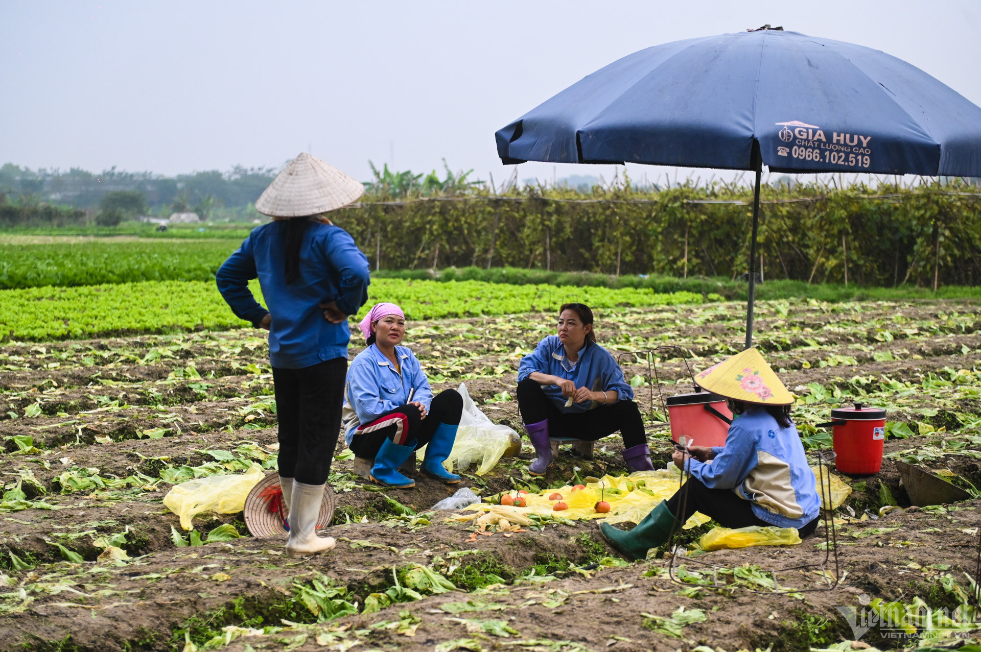 View - Xã ngoại thành Hà Nội huy động 200 tỷ xây dựng nông thôn mới nâng cao