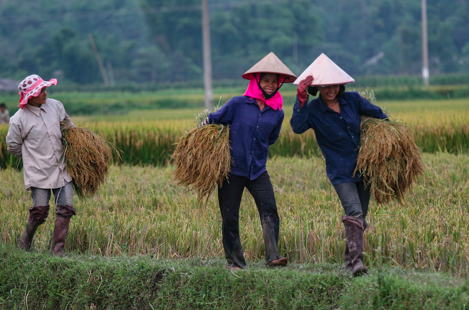 Yên Bái tiếp tục là 'điểm sáng' xây dựng nông thôn mới ở miền núi phía Bắc