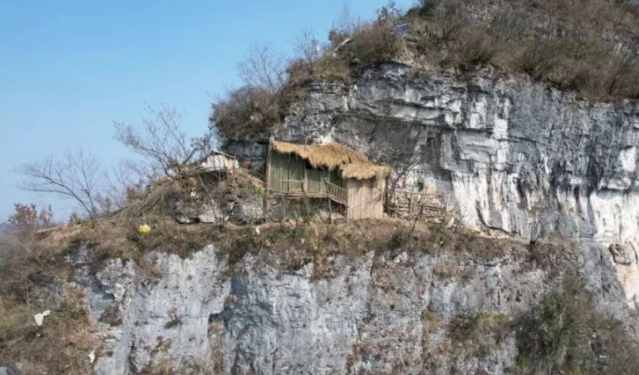 Trung Quốc: Mệt mỏi với thành phố, chàng trai dựng lều sống ở ẩn trên núi - 3