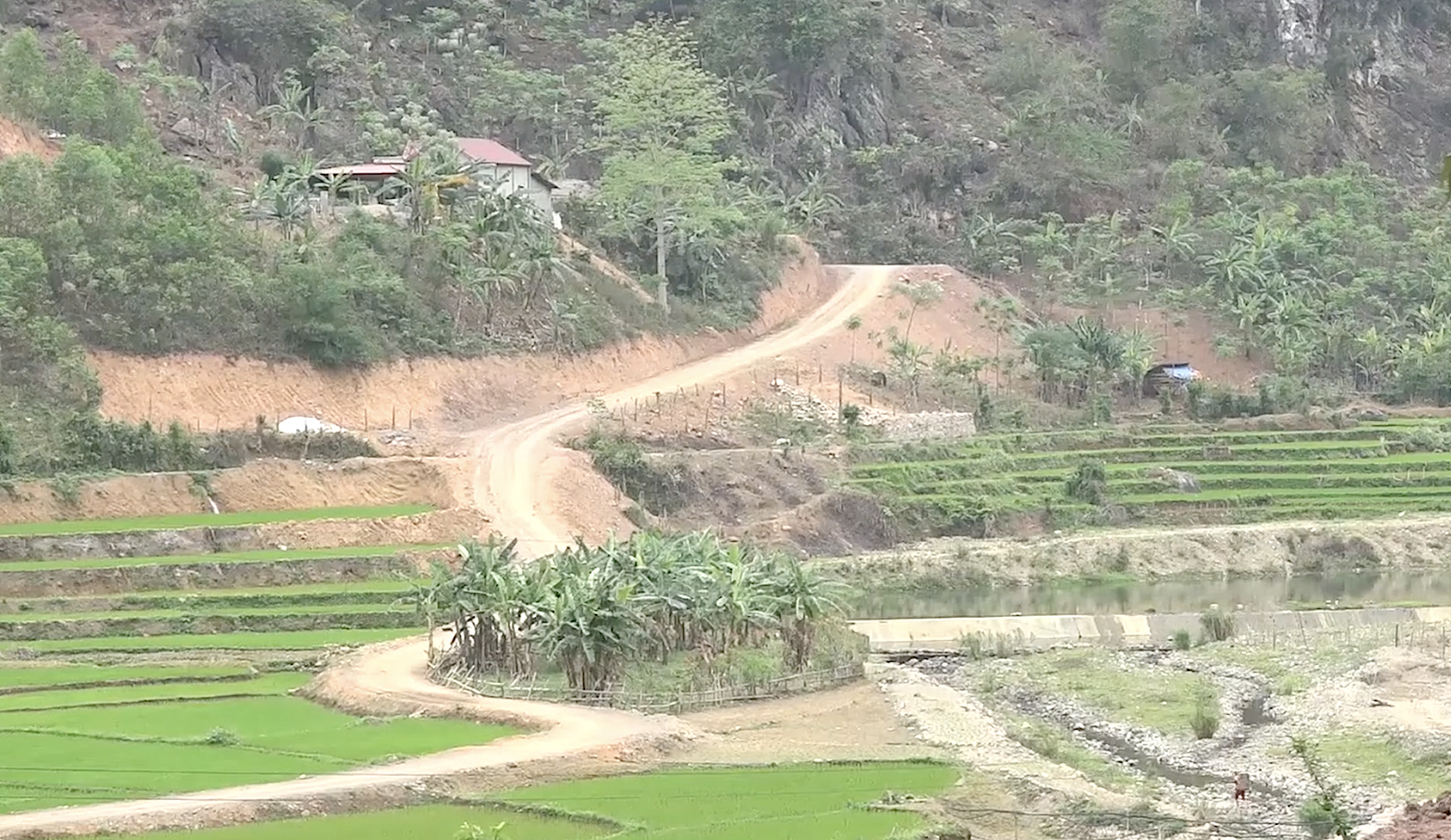 Chương trình MTQG 1719 đưa vùng đồng bào DTTS và miền núi ở Hòa Bình khởi sắc