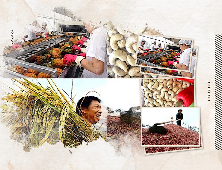 photo vietnamnet.jpg