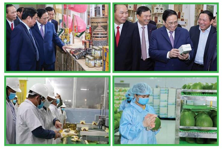 photo vietnamnet.jpg